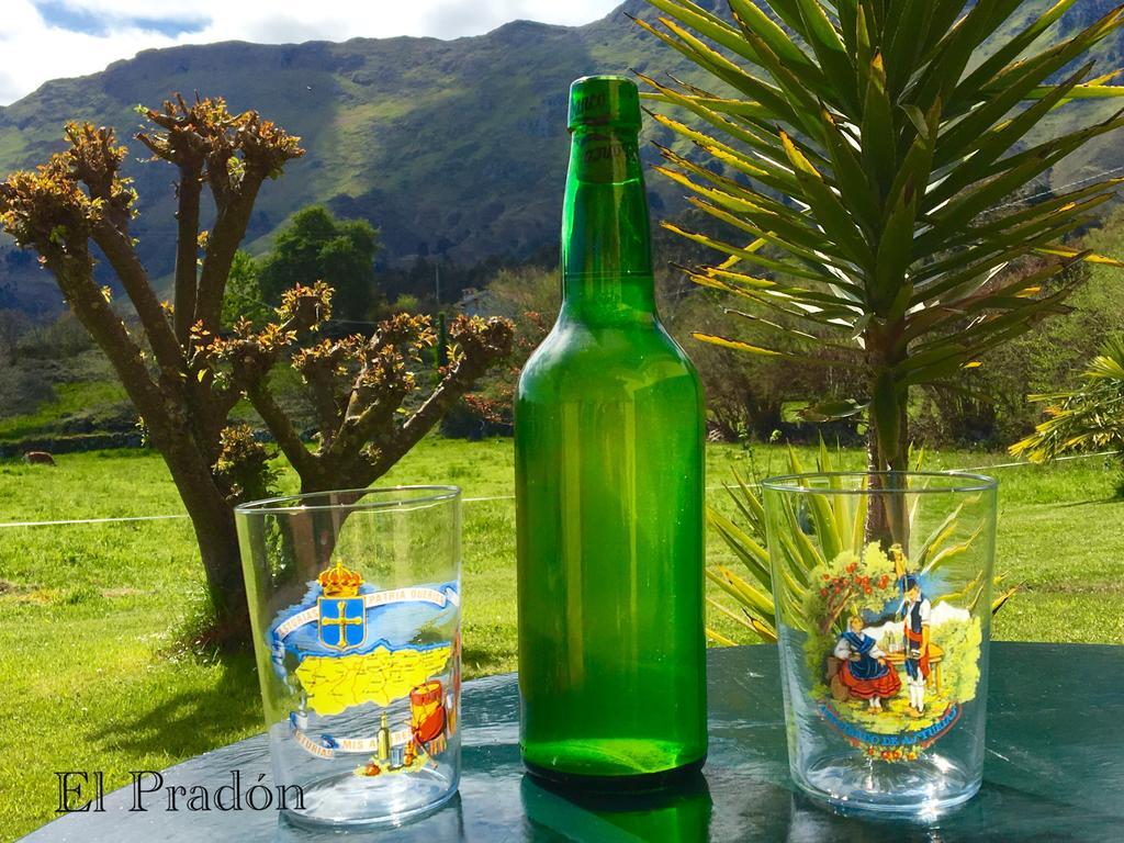 Apartamentos El Pradon De Santa Marina Parres de Llanes Dış mekan fotoğraf
